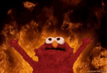 fire-elmo